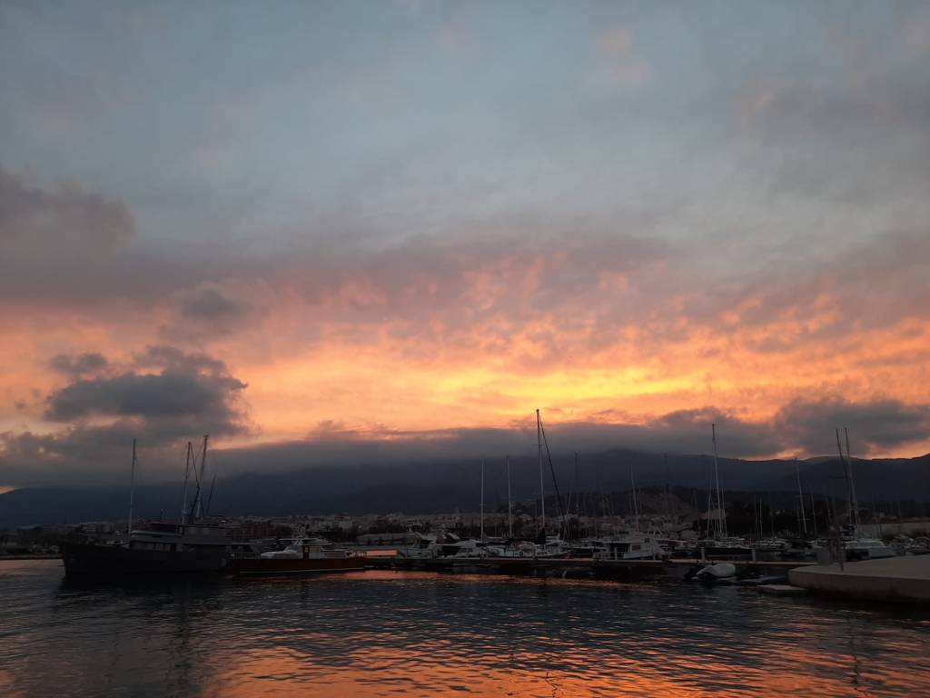 SAILING SHANDY CHEERS!